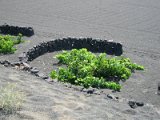 Flitterwochen Lanzarote 127